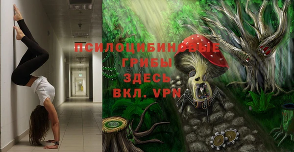 твердый Кукмор