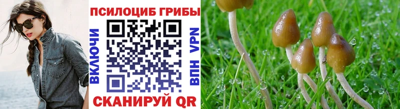 Купить закладки  Новомичуринск  Галлюциногенные грибы прущие грибы 